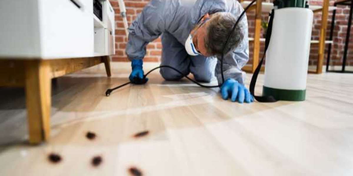 Why Pest Control Services Are a True Necessity?