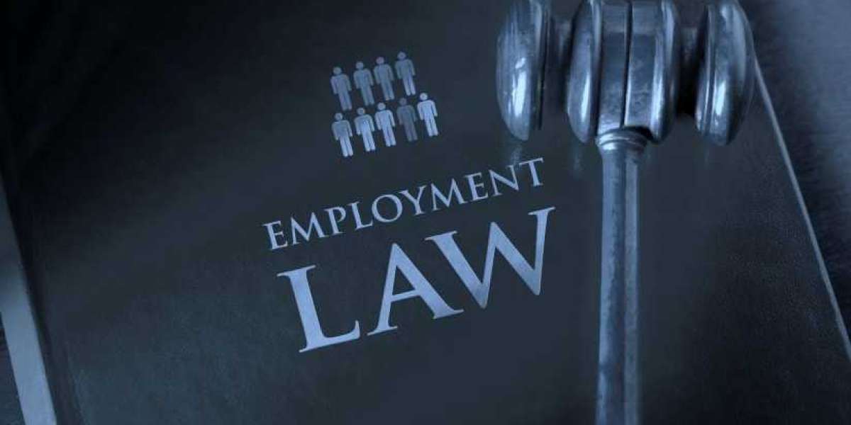 How to write employment law dissertation