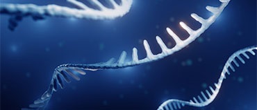 Epigenetics Market Trends, Drivers, and Opportunities | Global Industry Forecast