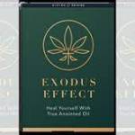 Exodus Effect Profile Picture