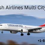 Turkish Airlines multi city Profile Picture