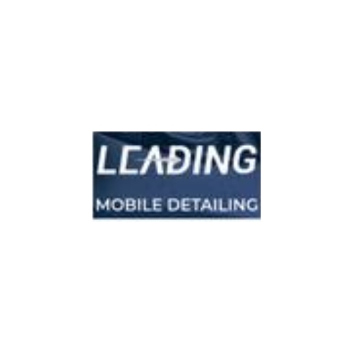 Leading Mobile Detailing Profile Picture