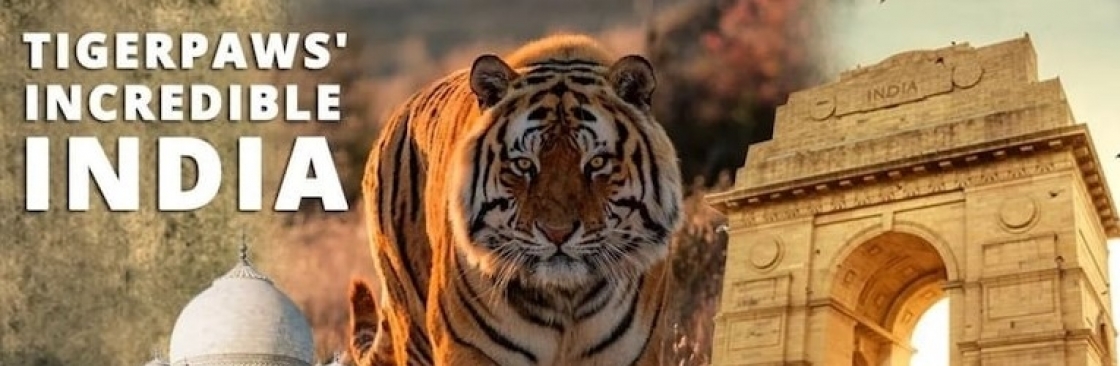 TigerPaw Journeys Cover Image