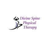 Divine Spine Physical Therapy Profile Picture