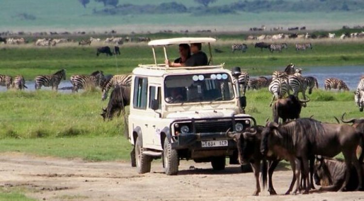 Wilderness Encounters: Serengeti National Park and Ngorongoro Crater Safari