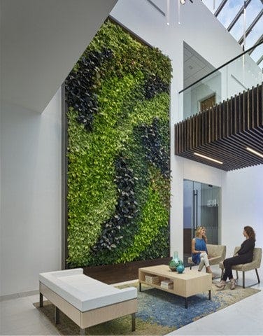 Bringing Nature Indoors: The living walls are the Beauty of Living Walls