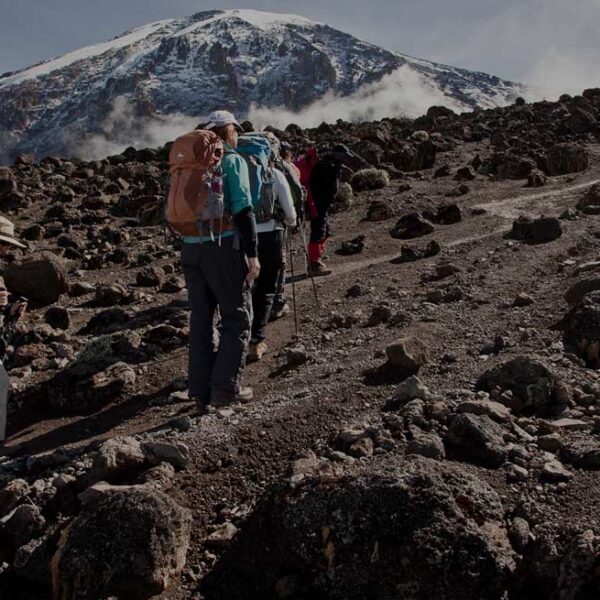 6 days Kilimanjaro climb Machame route: Experience That You Will Never Forget