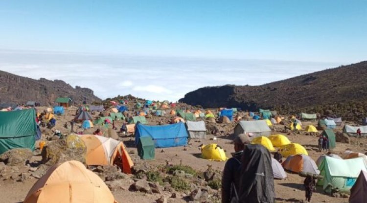 Conquer Africa's Highest Peak: The Marangu Route in 5 Days