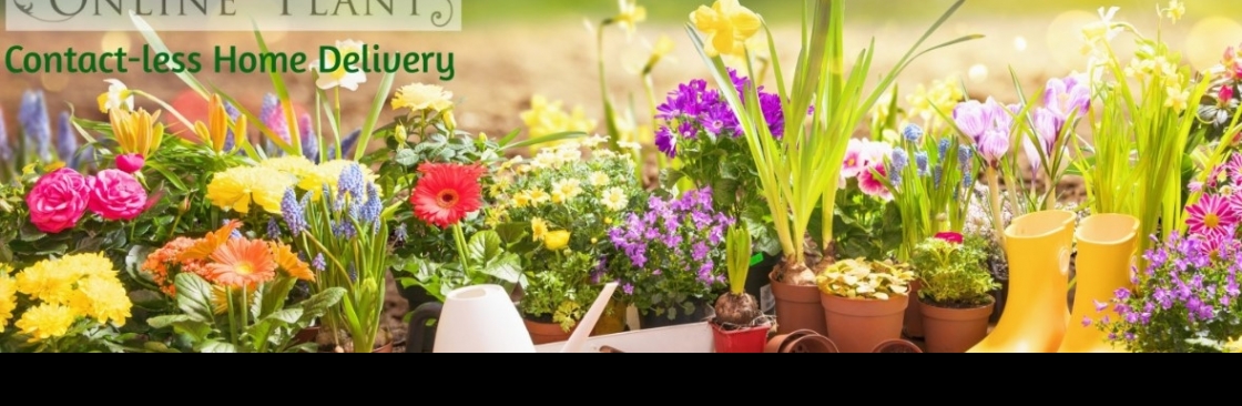 plants online Cover Image