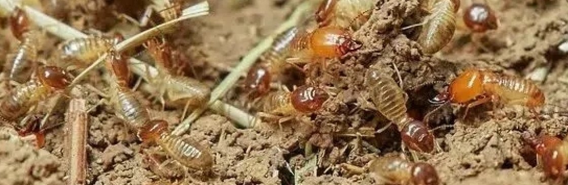 enviropestcontrol Cover Image