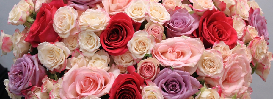 Glamour Rose Cover Image