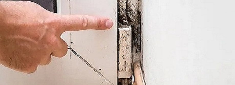 Mould Doctors Cover Image