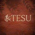 TESU Profile Picture